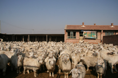 内蒙古包头市土右旗移民到底为了啥!