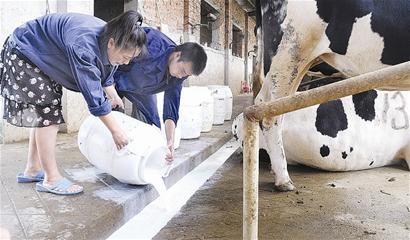 内蒙古自治区实行奶农补贴、乳企免税政策-奶