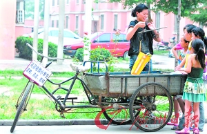 80后最美女校长 为建阅览室收购旧书感动网友