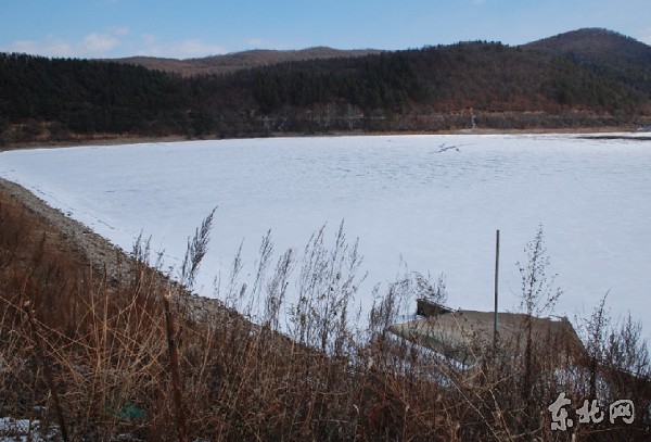 中水东北院收入_东北农民收入(2)