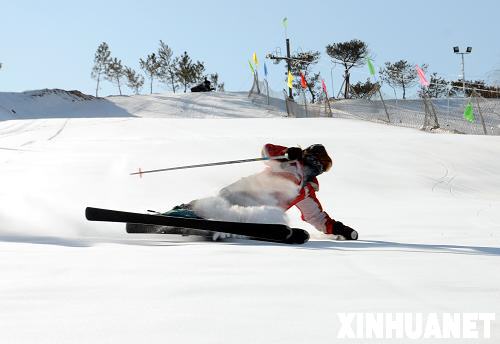 谈球吧体育滑雪乐[组图](图1)