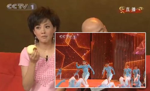网友细数春晚十大硬伤 王菲假唱刘谦穿帮(图)