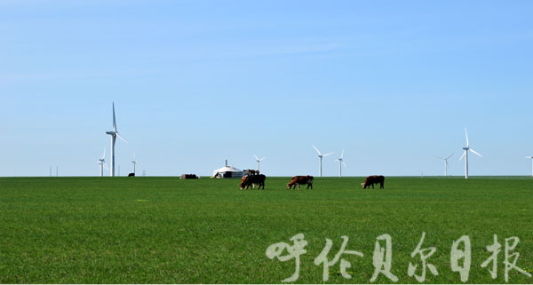 华能新能源新左旗风电场启动建设