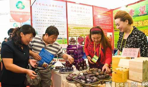 财政收入_内蒙古财政总收入(2)