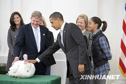 美国今日庆祝感恩节 奥巴马赦免火鸡