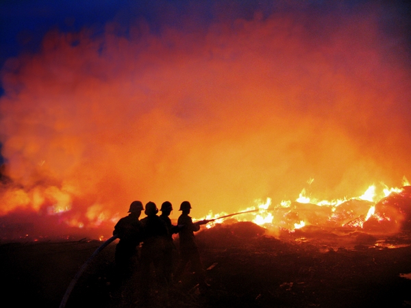赵武:捕捉兴安神韵 刻画林海气象
