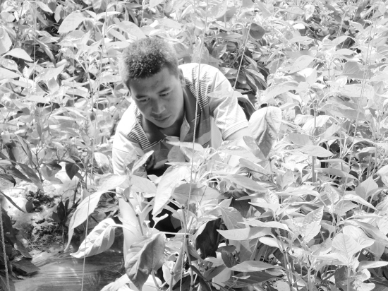 包头2000年GDP_2020年包头语文卷