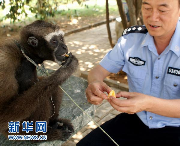 这是董建川在云南德宏森林公安局内给一只刚收缴到的国家保护动物