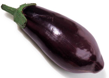 10389537_481829.jpeg