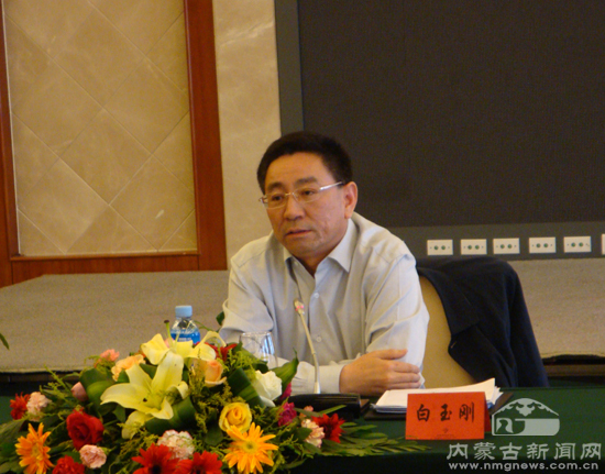 全区蒙文网站座谈会在呼和浩特召开-内蒙古,蒙文网站