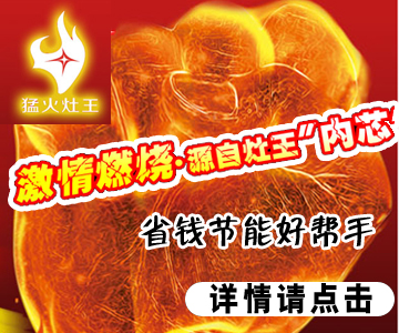 毛利寿三郎_销售收入 毛利 净利