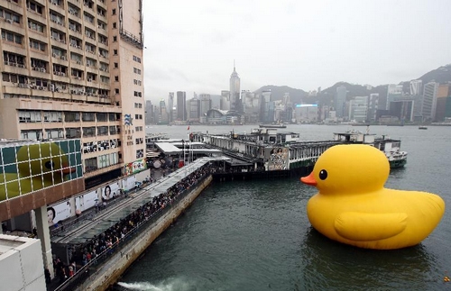 香港“大黄鸭”满血复活