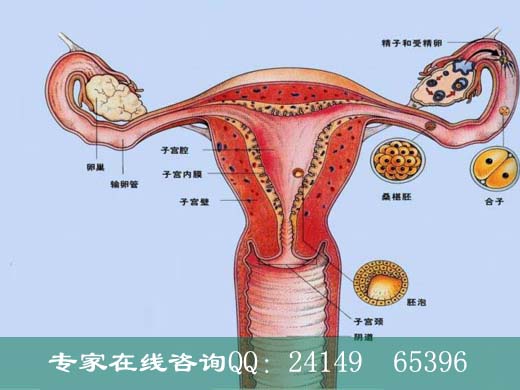 苍南哪家医院可以做解扎<em>手术</em> - 巴林左旗新闻网