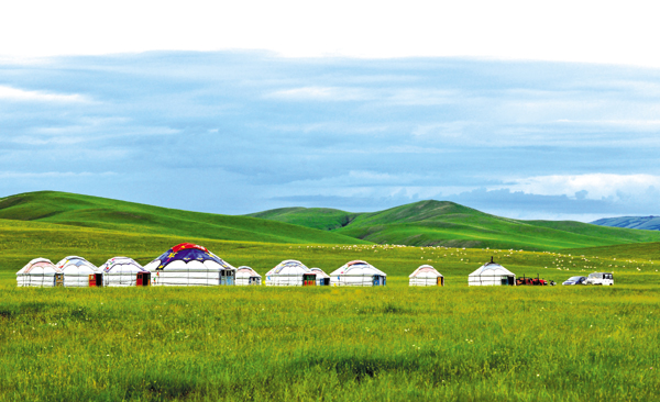 大草原排名_呼伦贝尔大草原图片(3)