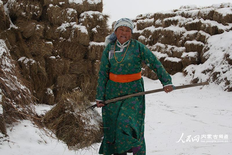 内蒙古克什克腾旗遭受暴风雪袭击