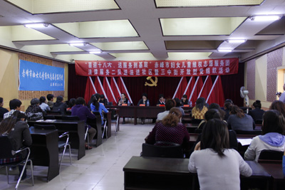 赤峰市妇女儿童维权志愿者服务团事迹简介-内