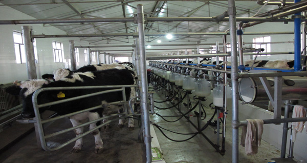 念科学养殖经 走勤劳致富路