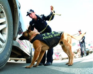 警方带警犬搜毒(资料图片)