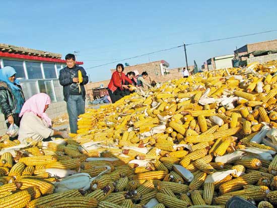 亩产万斤_吉林玉米亩产收入(2)