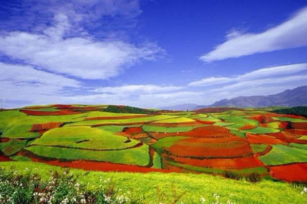 逃离城市 五月最值得去的清新地方_旅游信息_