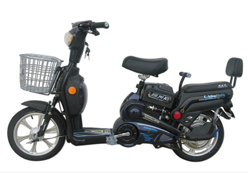 电动车全国排名_电动车排名前十名(3)