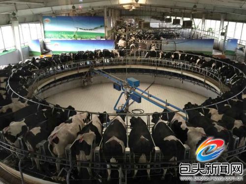 伊利牛奶_伊利2018销售收入(3)