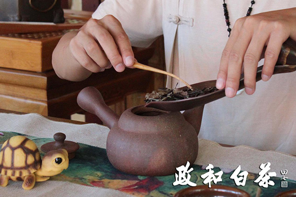 千与千寻主题曲陶笛谱-政和白茶中国味道 敦敏点评:政和年间,政通人和,北苑茶园,白茶