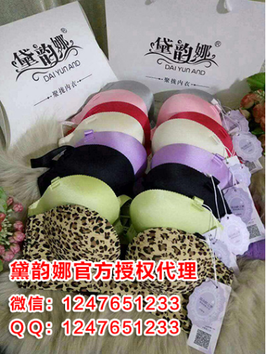 黛韵娜内衣怎么代理--内蒙古新闻网