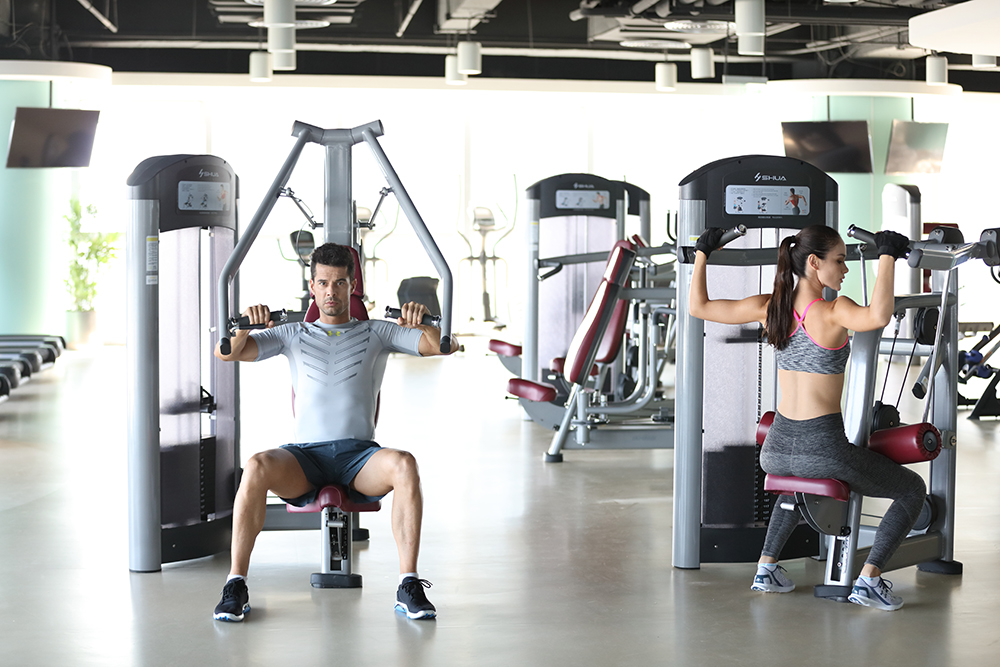 舒华杯2015年全国健美健身冠军总决赛落幕