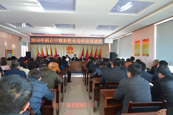 科右中旗经济总量_2015中国年经济总量