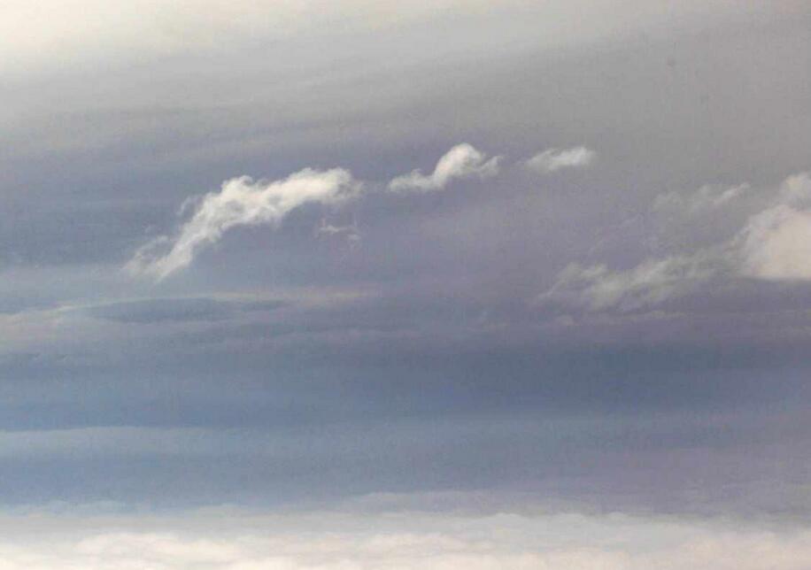 11282148_716399.jpg