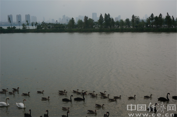 【网络媒体走转改】南昌高新区：“英雄之城”变“科技之城”、“生态之城”