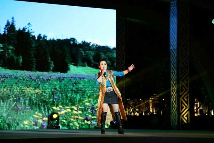 8国歌手齐聚阿尔山唱响森林音乐节