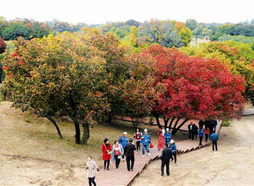 2016首届通辽·乌旦塔拉国际枫叶节盛大开幕