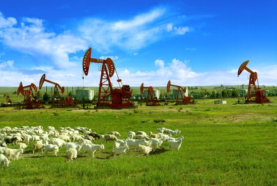 内蒙古二连浩特市油田生态与生产和谐共生