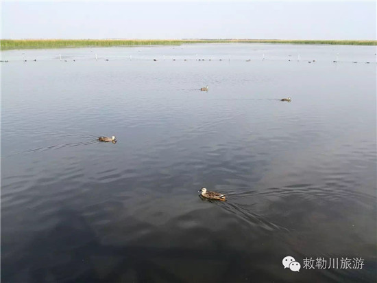 如何看见水里的敌人 11518480_983553.jpg