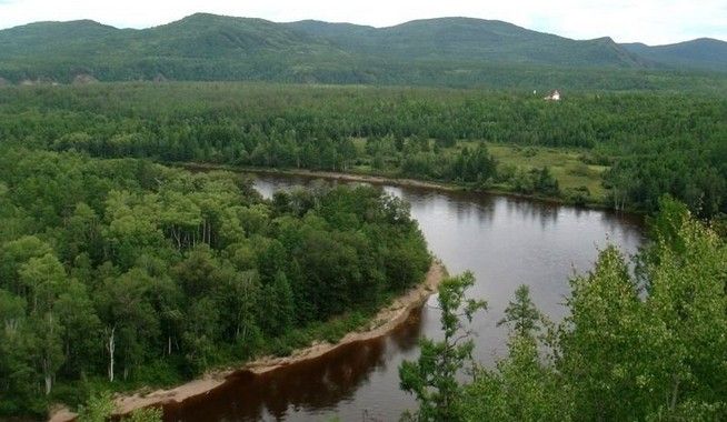 我国人均水资源_我国人均森林资源