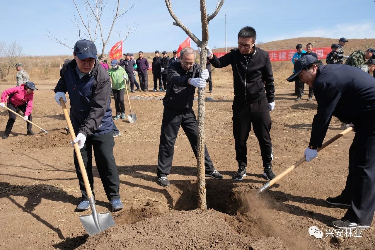 兴安盟义务植树造林再添新绿4.5万亩