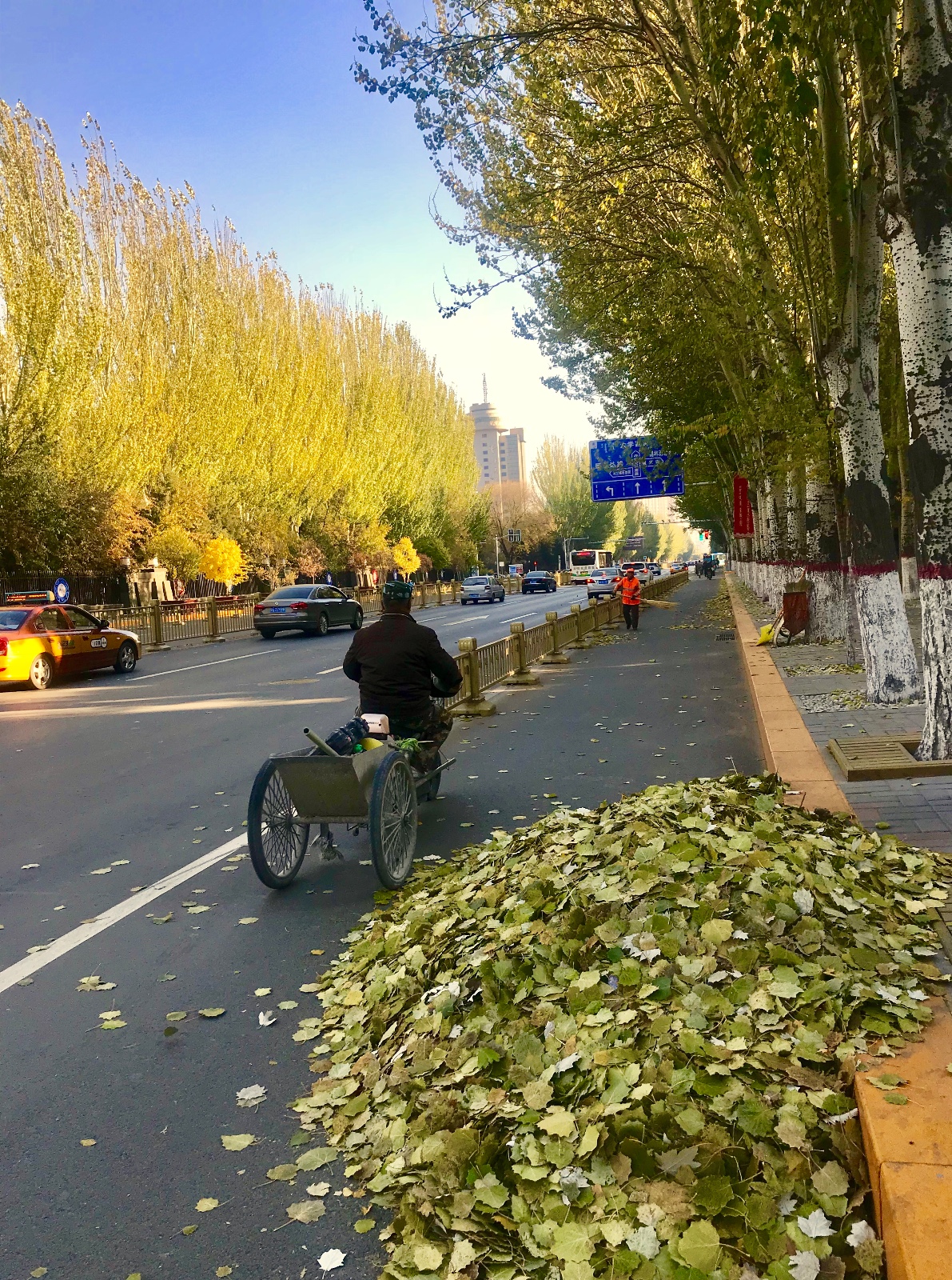 要闻 图片新闻   呼和浩特的秋天源于一阵凉风扬起的金黄落叶,一片