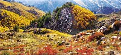 巴彦淖尔:践行绿水青山就是金山银山理念 推动高质量发展