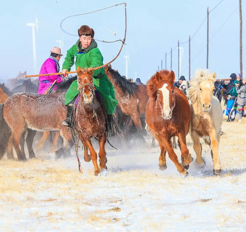 套马 驯马 剪马鬃 打马印 精彩民俗马上呈现