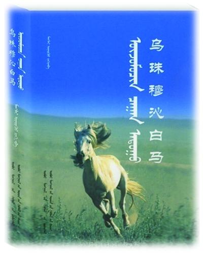 00300226318_276dae80.png