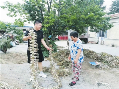 鲁北多少人口_鲁北到通辽的车票照片