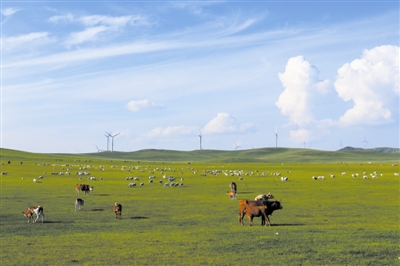 走进阿鲁科尔沁旗夏营地