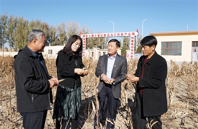 义堂镇经济总量_云梦县义堂镇图片