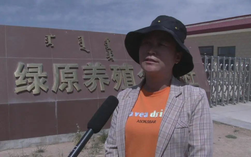 查汉鄂木嘎查党支部书记徐锦兰