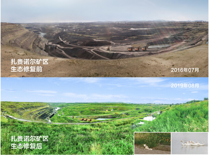 生态修复的十大didian