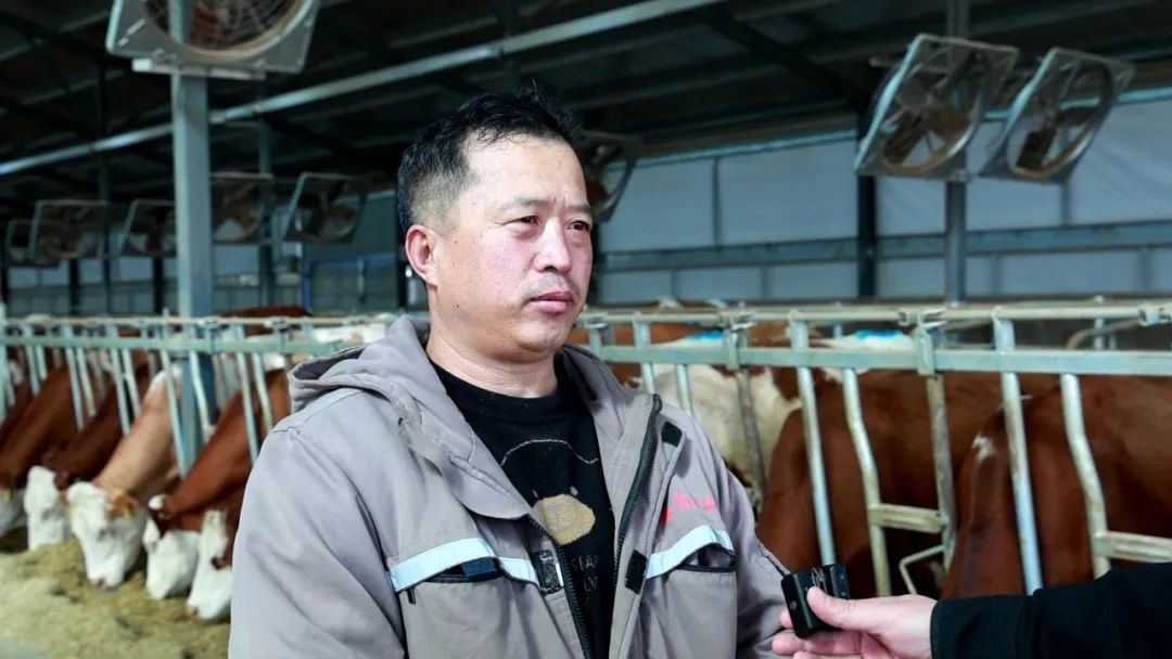 【推动五大任务见行见效】京蒙协作资金的注入激活卓资产业发展活力-经济-内蒙古新闻网