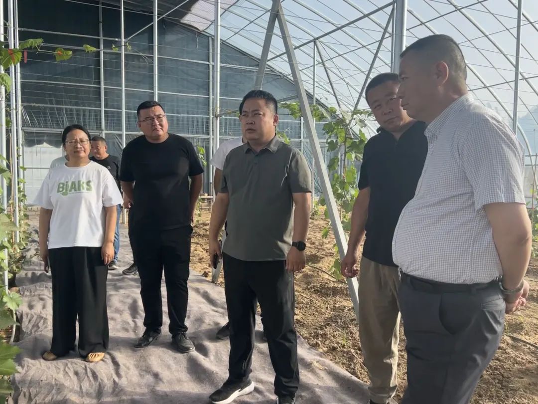 鄂托克旗蒙西镇:特色水果热销四方成“新宠”,为乡村振兴注入“甜蜜力量”-资讯-内蒙古新闻网