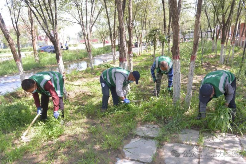 二连浩特市园林绿化中心再行动：清除蒿草 阻止过敏源开云电竞(图1)